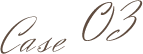 case03